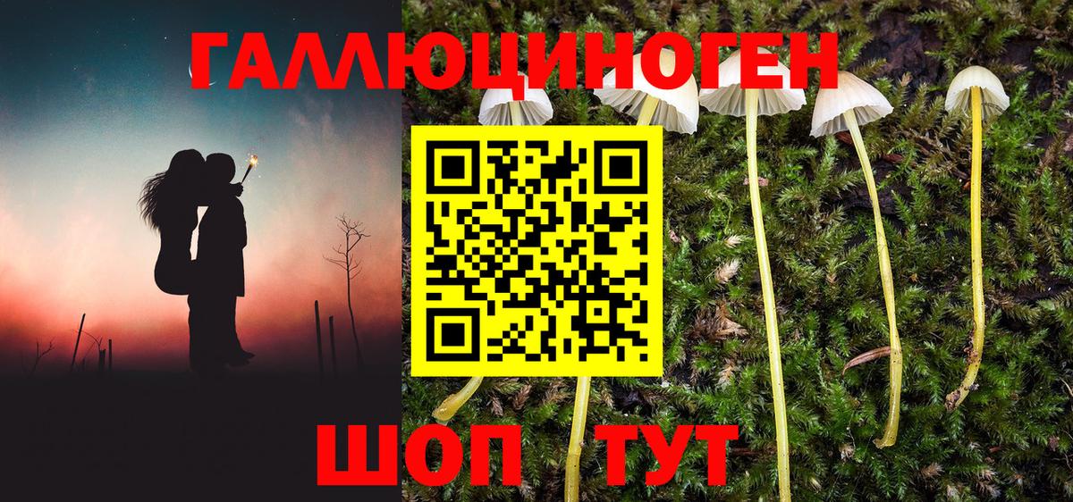 Псилоцибиновые грибы мухоморы  Вход с VPN  Псилоцибиновые грибы мицелий  Елизово 
