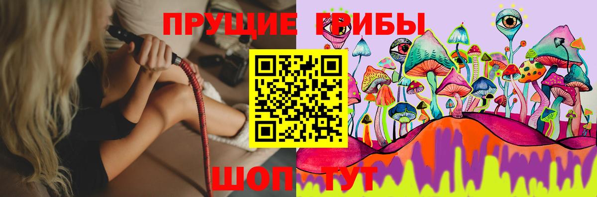 Галлюциногенные грибы Cubensis Елизово